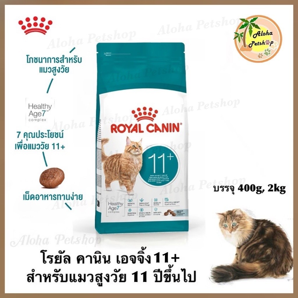 Royal Canin Senior Ageing 11+ year Cat ❤ 😺 โรยัล คานิน เอจจิ้ง แมวสูงวัย 11 ปีขึ้นไปบรรจุ 400g, 2kg