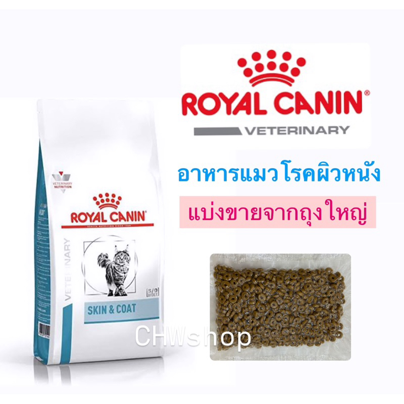 ทุกวัน Royal canin Skin&Coat อาหารแมวรักษาโรคผิวหนัง ชนิดเม็ด