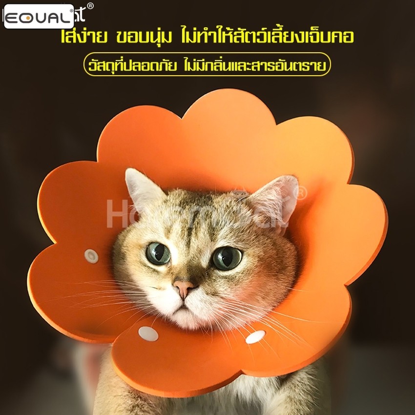 EQUAL คอลล่ากันเลีย ลําโพงกันเลีย S M L ลําโพงแมว สุนัข สําหรับแมวและสุนัขทุกตัว