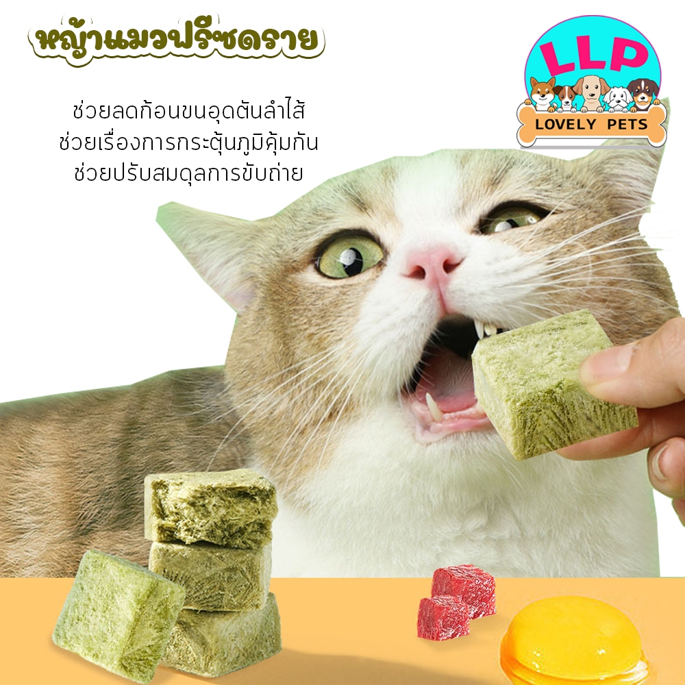 หญ้าแมวฟรีซดราย ผสมอกไก่ ช่วยสํารอกก้อนขน ไม่ต้องเสียเวลาปลูก ขนมแมว กินง่าย