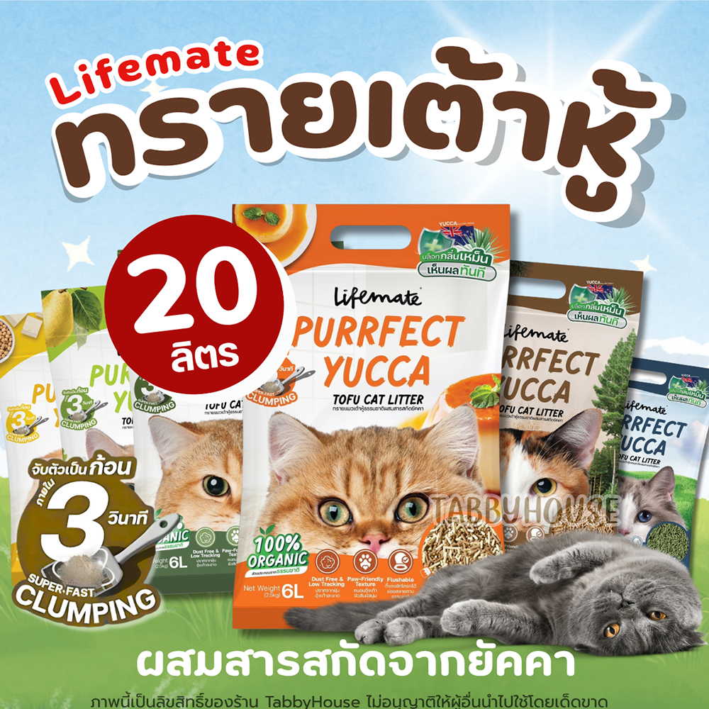 20ลิตร) ทรายแมวเต้าหู้ Lifemate ยับยั้งการเติบโตแบคทีเรีย ทิ้งลงชักโครกได้ สามารถสลายได้ตามธรรมชาติ
