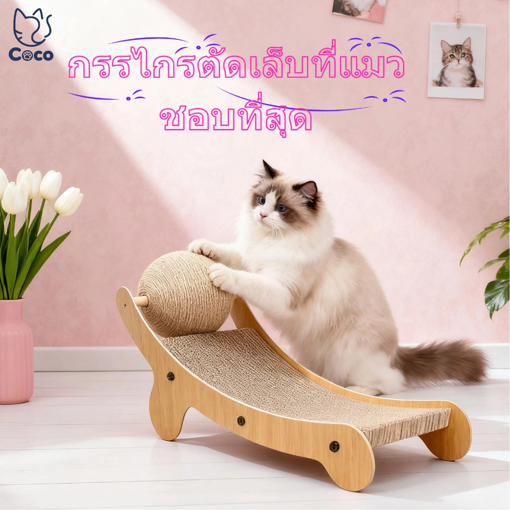 เก้าอี้ลับเล็บแมว 2in1 กระดาษลูกฟูก โซฟาแมว เตียงนอนสัตว์เลี้ยง มีลูกบอลของเล่น ป้องกันการข่วนเฟอร์นิเจอร์ ทนทาน ไม่หลุด