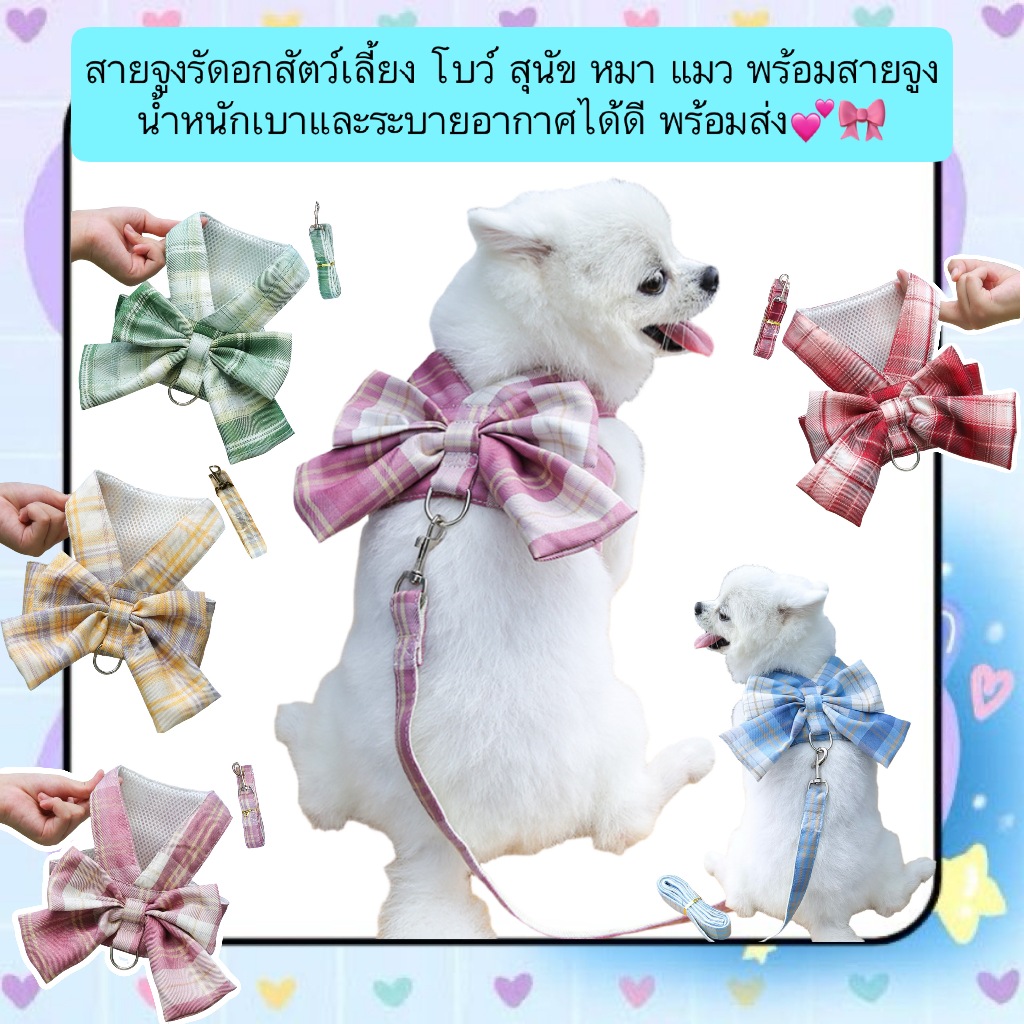 PP-511 สายจูงรัดอกสัตว์เลี้ยง โบว์น่ารัก สําหรับสุนัขและแมว น้ําหนักเบา ระบายอากาศดี พร้อมสายจูงยาว 120 ซม. ทันที