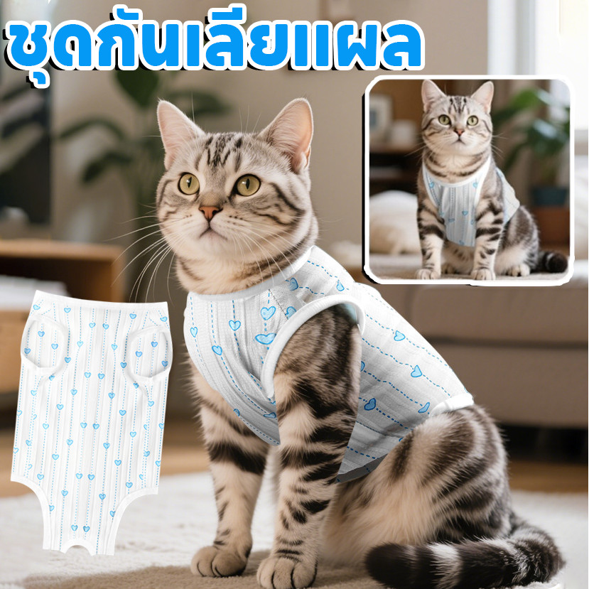 เสื้อทําหมันสัตว์เลี้ยง เสื้อทําหมัน เสื้อหลังผ่าตัด ชุดกันเลียแผล ผ้ายืด นิ่ม สีสวย เสื้อแมว