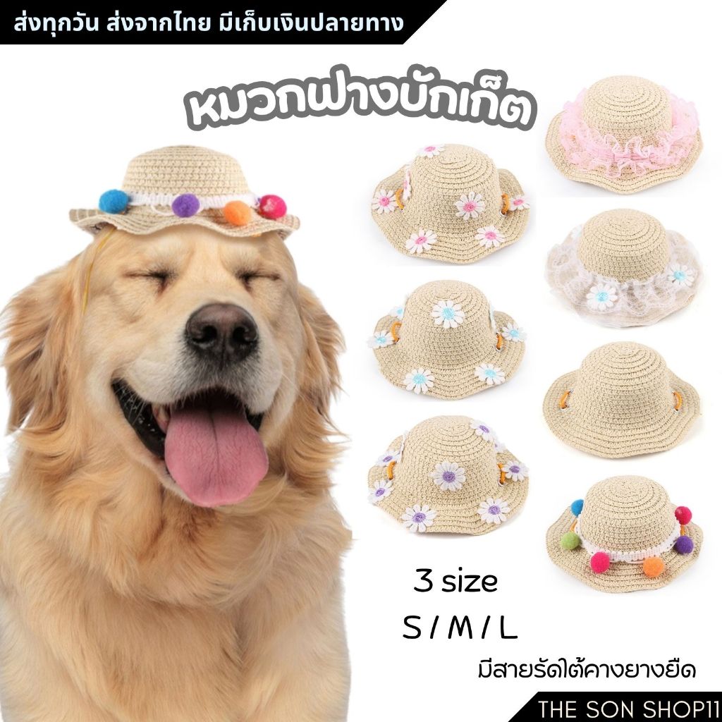 หมวกฟางแมว หมวกฟางหมา หมวกฟางบักเก็ต หมวกบักเก็ต