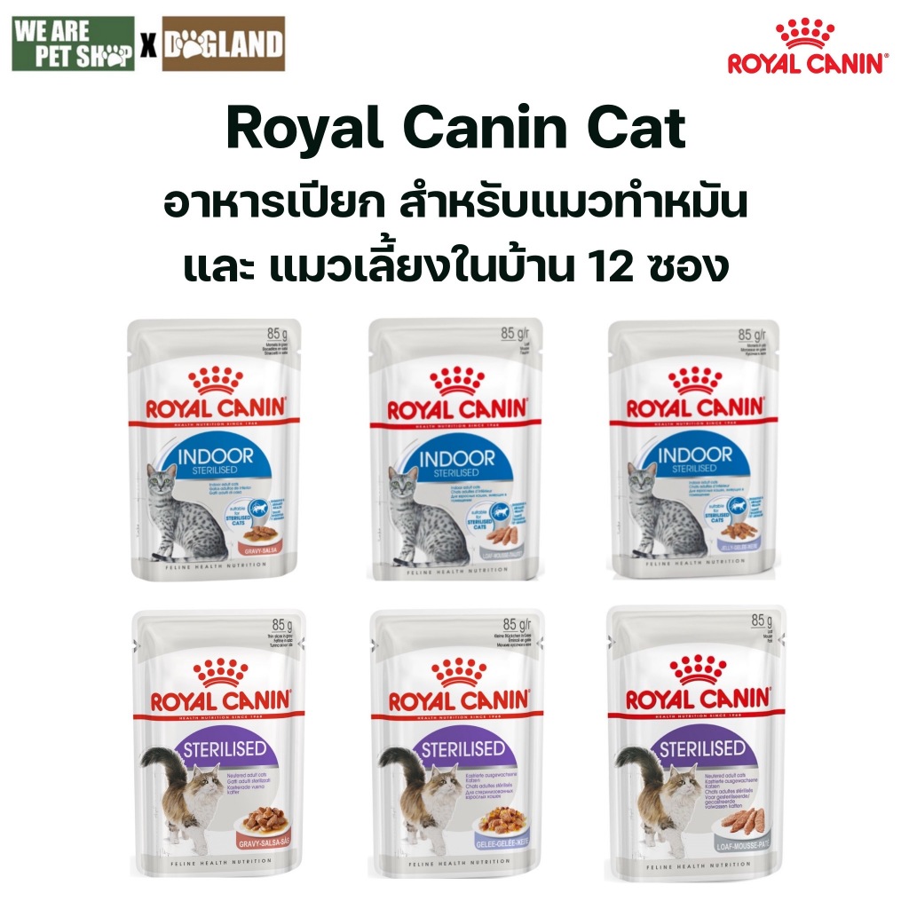 Royal Canin Cat แมวทําหมัน / แมวเลี้ยงในบ้าน อาหารเปียก 12 ซอง
