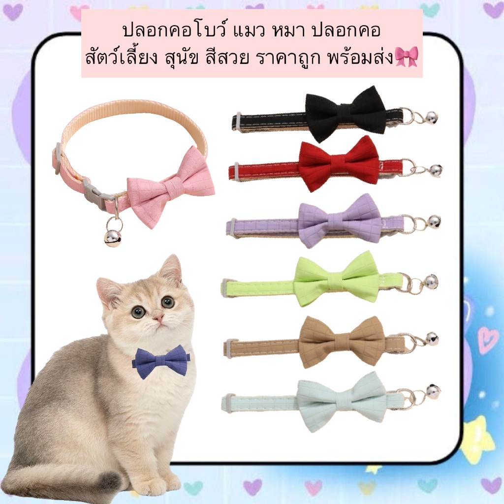 AL-620 ปลอกคอโบว์ แมว หมา ปลอกคอสัตว์เลี้ยง สุนัข สีสวย ราคาถูก