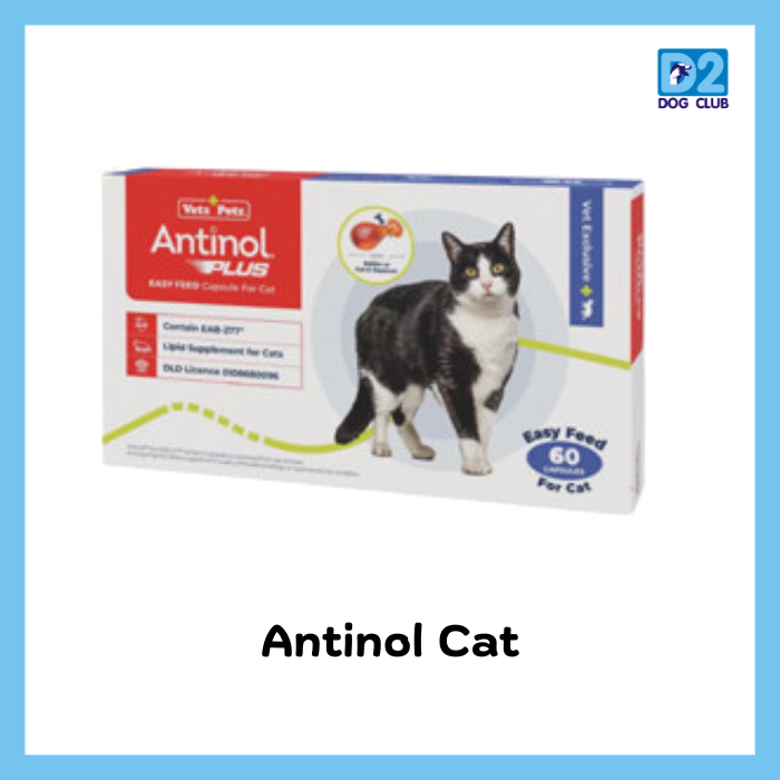 Antinol Cat อาหารเสริ บํารุงข้อ แมว ช่วยลดการระคายเคืองที่ผิวหนัง 60 caps ( แมว )