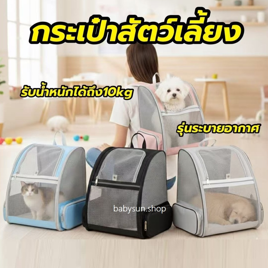 กระเป๋าแมว หมา เป้สัตว์เลี้ยง ในไทย ใบใหญ่มาก พับเก็บได้