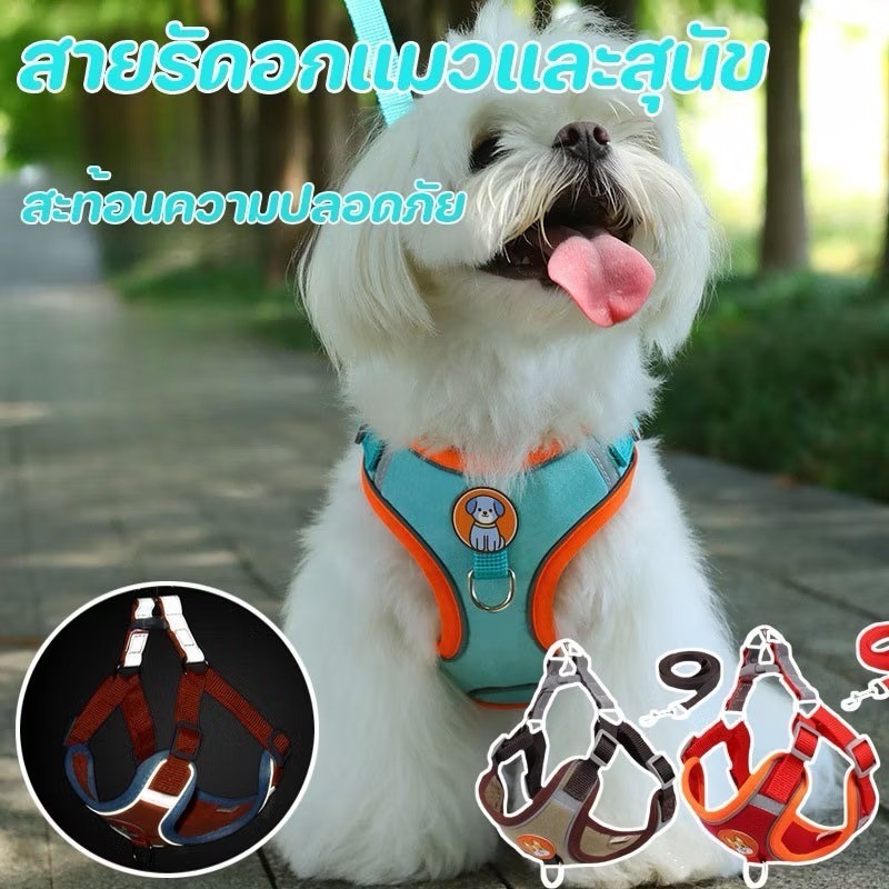 สายรัดอกแมวและสุนัข ฟรีสายจูง สายจูงสะท้อนแสงสําหรับสัตว์เลี้ยงกลางแจ้ง สุนัขและแมวสามารถใช้ได้ L267