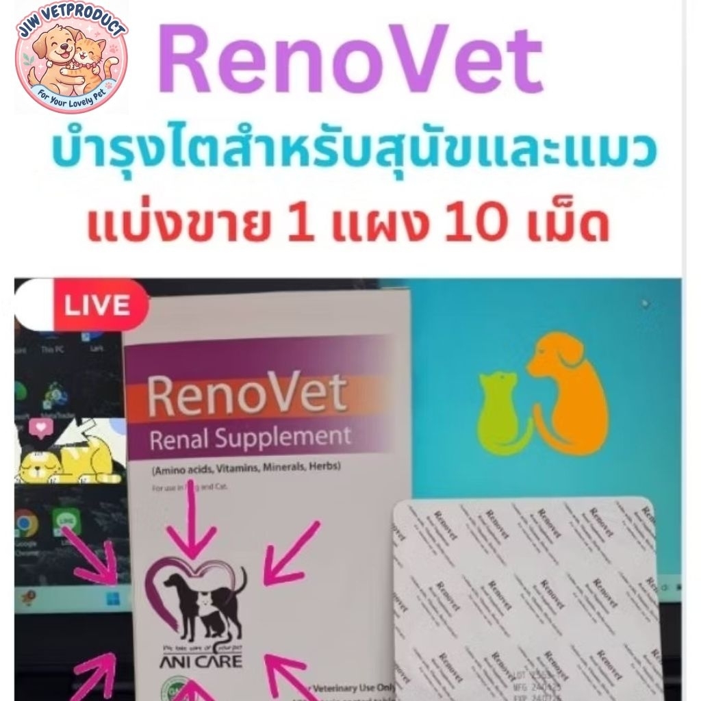 Renovet อาหารเสริมบํารุงไต สําหรับแมวและสุนัข ที่ป่วยเป็นโรคไตวาย ทั้งเรื้อรังและเฉียบพลัน ที่สุดในช้อปปี้
