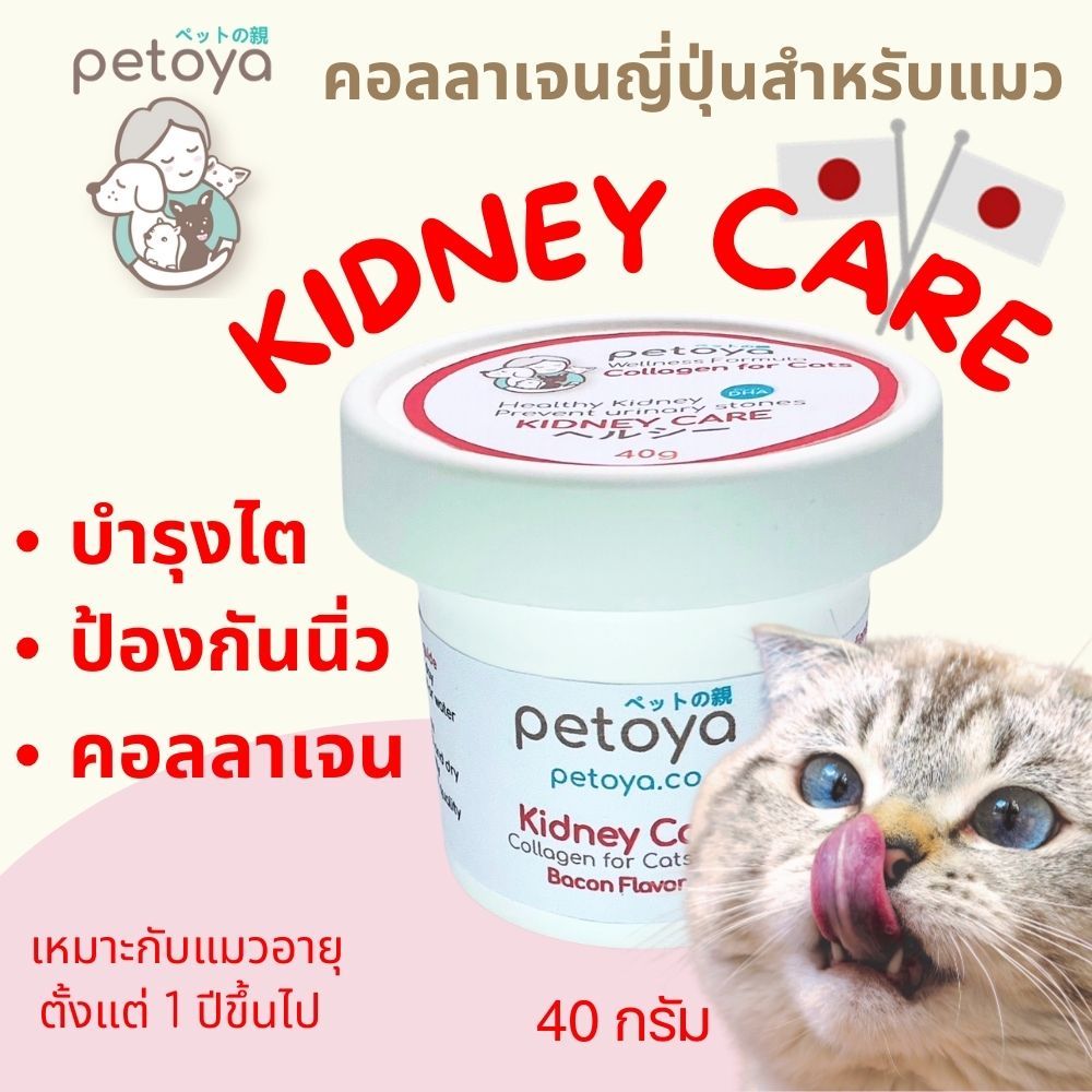 คอลลาเจนญี่ปุ่นสําหรับแมว สูตร KIDNEY CARE บํารุงไต ป้องกันนิ่ว