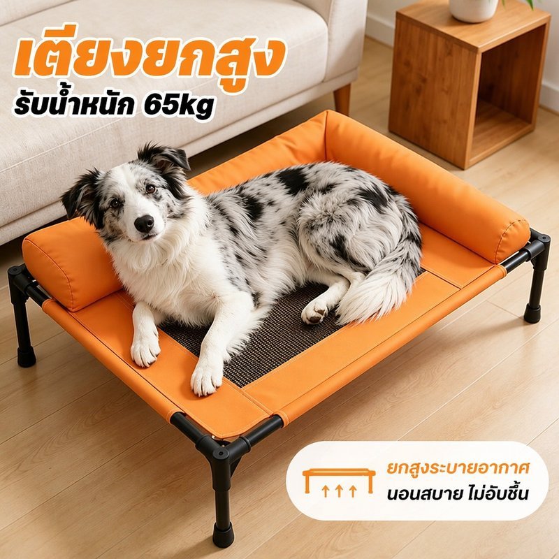 ที่นอนแมว ที่นอนสุนัขยกสูง รับน้ําหนัก 65kg ผ้าอัพเกรดใหม่ ระบายอากาศและป้องกันความชื้น