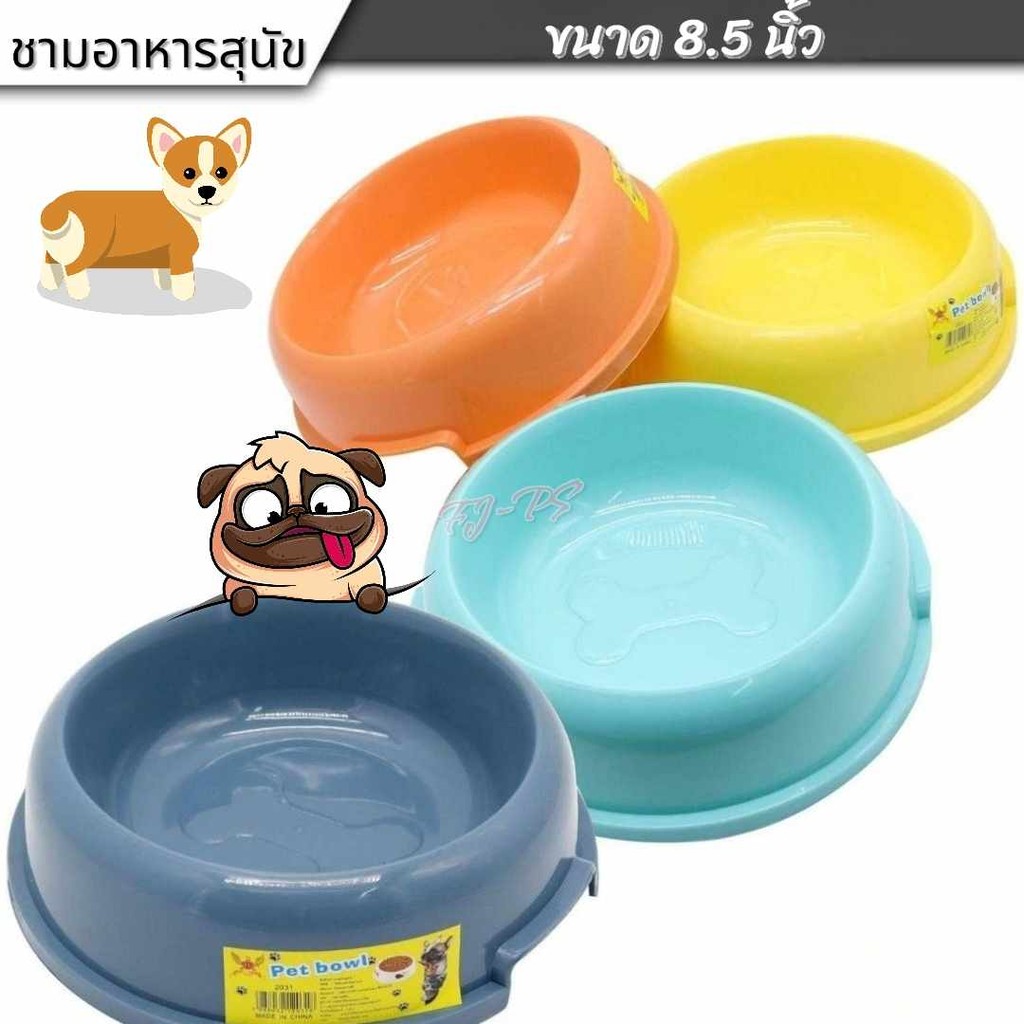 ชามอาหารหมา ชามอาหารแมว ชามสัตว์เลี้ยง ที่ใส่อาหารหมา ที่ใส่อาหารแมว ที่ใส่อาหารสัตว์เลี้ยง ชามอาหารสีสันสดใส