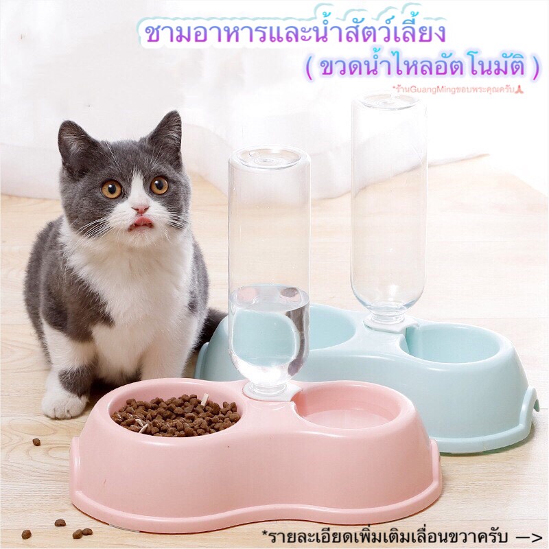 ลด15% ขั้นต่ํา 499 code: PTPDMGUA ] ชามอาหารและน้ําแมว ชามอาหารแบบน้ําไหลอัตโนมัติ