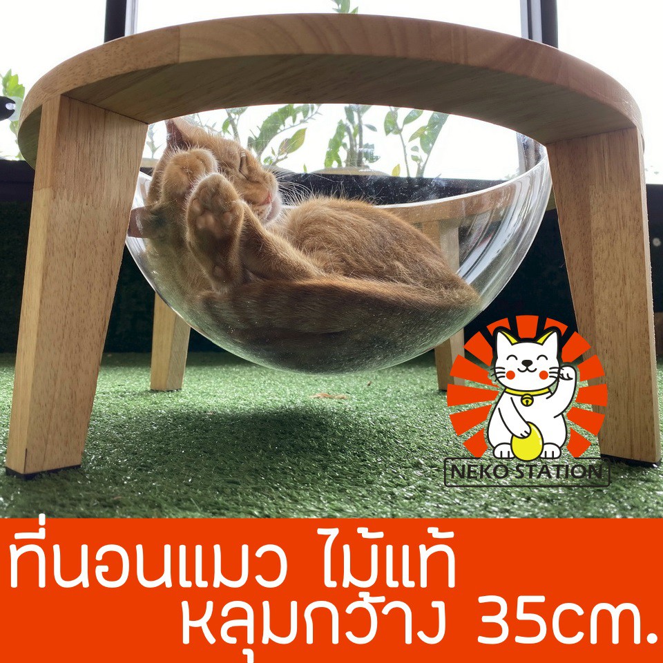 ที่นอนแมว พร้อมหลุมใสอะคลีลิค ทําจากไม้แท้ หลุมอะคลีลิคใหญ่ 35cm. บ้านแมว หลุมอวกาศแมว ชั้นแมวอวกาศ โดมอะคลิลิค คอนโดแมว