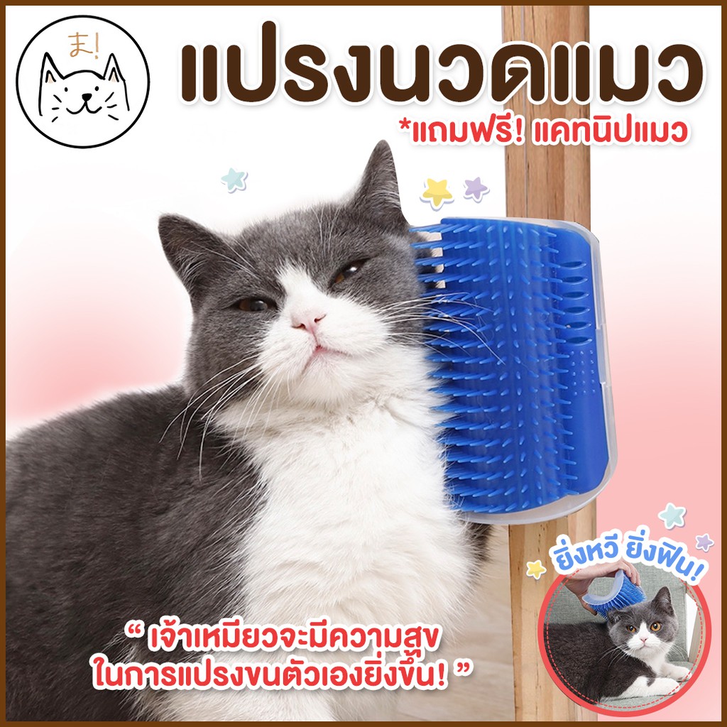 แปรงนวดแมว แปรงหวีขน แบบเข้ามุม ที่นวดแมว แถมฟรี! แคทนิปแมว แปรงนวดขนแมว Cat Self Groomer