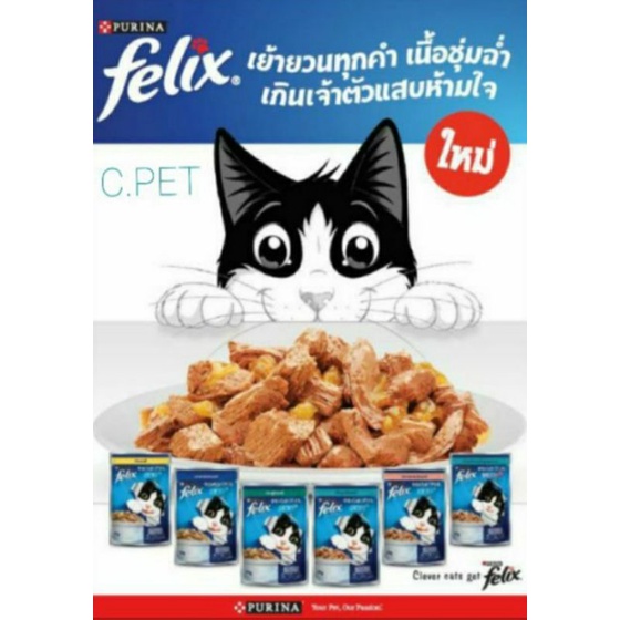 felix เฟลิกซ์ อาหารเปียก จํานวน 24 ซอง