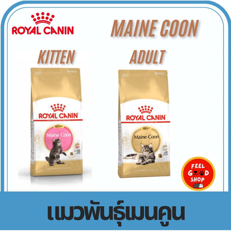 Royal canin maine coon (ขนาด 10kg) อาหารเม็ดสําหรับแมวเมนคูน