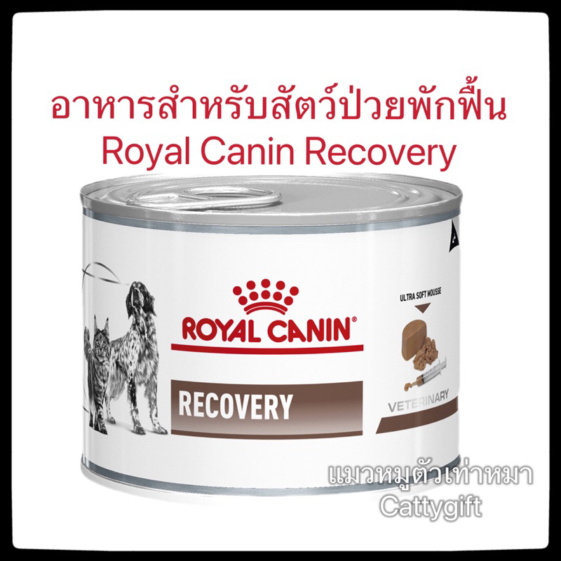 Recovery อาหารสําหรับแมวและสุนัขป่วยช่วงพักฟื้นมีสารอาหารมากกว่าปกติ