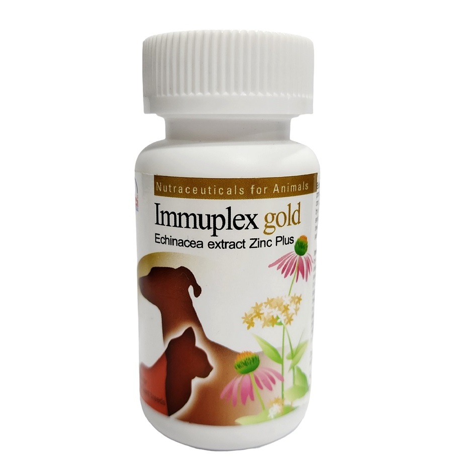 Immuplex Gold (60 เม็ด) เสริมภูมิต้านทาน สุนัข แมว (Exp. 05/2028)