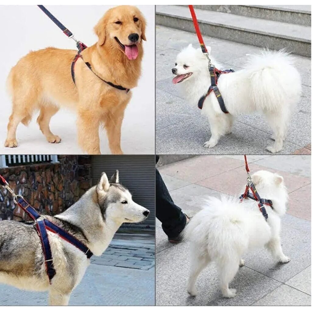รัดอกยีนส์ > สายรัดอกสุนัข +พร้อมสายจูง 120 cm (มีปลอกคอขายแยก) 🐶🐱 for pet สุนัข แมว หมาใหญ่