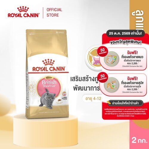 Royal Canin Kitten British Shorthair 2kg อาหารเม็ดลูกแมวพันธุ์บริติช ชอร์ทแฮร์ อายุ4-12เดือน (Dry Cat Food, โรยัล คานิน)