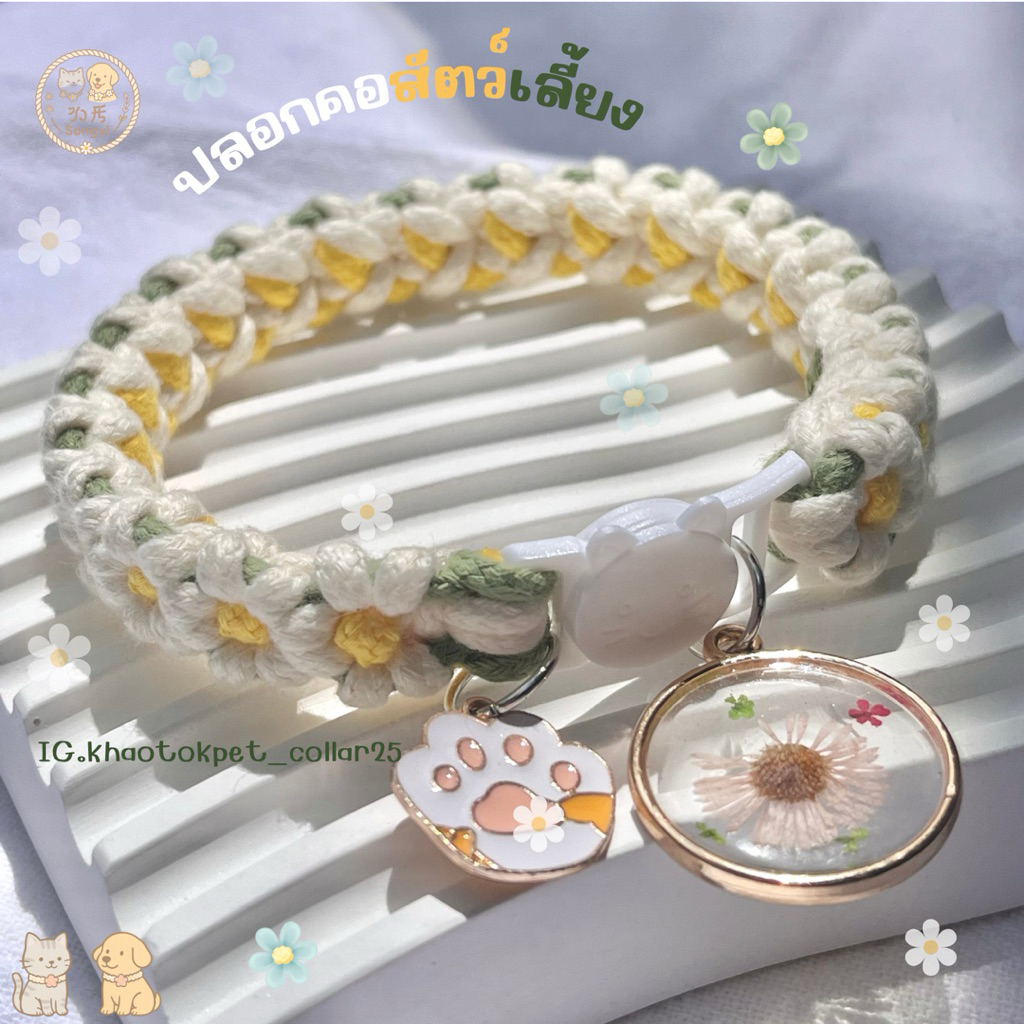 ปลอกคอเชือกถักนิรภัย รุ่น Cream Blossom Daisy – ดอกเดซี่โทนครีมละมุน ปลอกคอสัตว์เลี้ยง ปลอกคอแมว ปลอกคอสุนัข