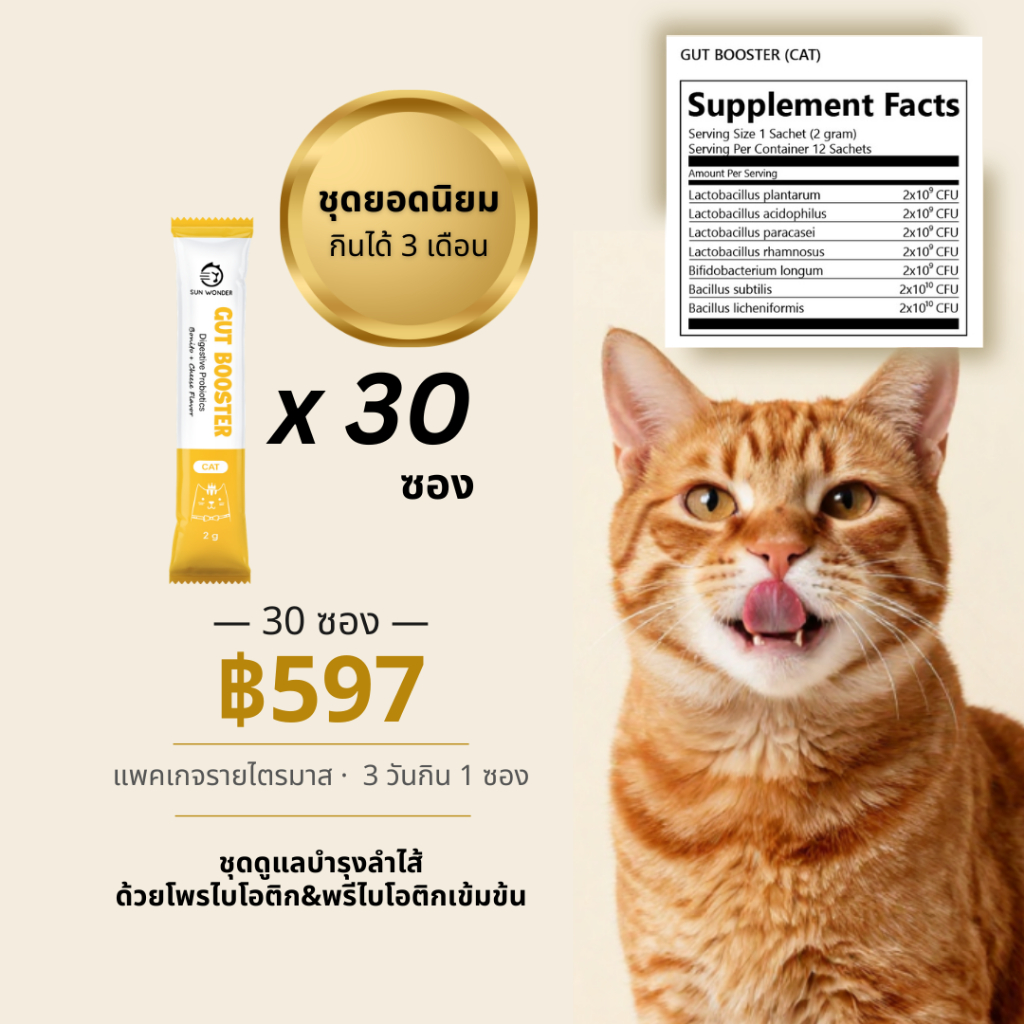 เซ็ตยอดนิยม ชุดดูแลบํารุงลําไส้แมว แพคเกจรายไตรมาส (30 ซอง) Gut Booster โพรไบโอติก&พรีไบโอติกเข้มข้น
