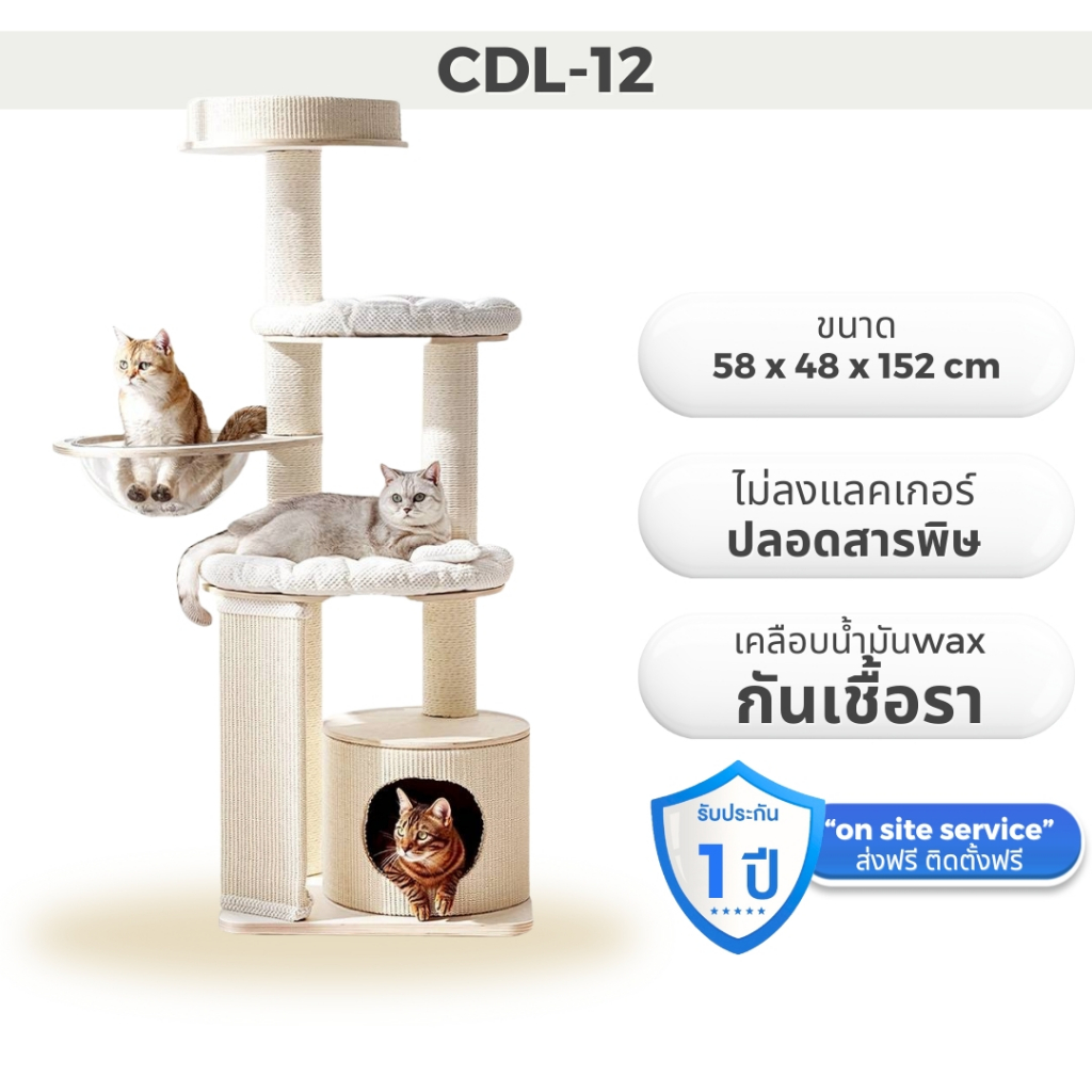 คอนโดแมวคุณภาพสูง แข็งแรง ทนทาน ใช้งานได้นาน รุ่น CDL-12