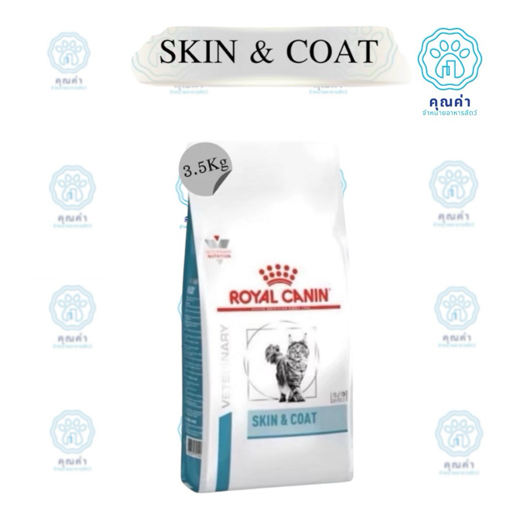 Royal Canin (SKIN & COAT)(3.5kg) อาหารแมวโต รักษาโรคผิวหนัง ชนิดเม็ด