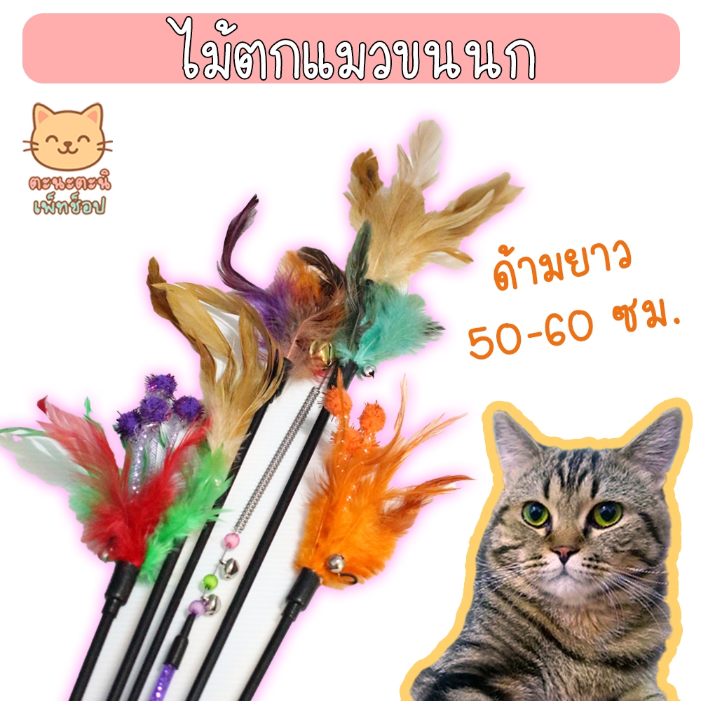 ไม้ตกแมวขนนก ไม้ล่อแมวขนนก แบบยาว 40-60 ซม