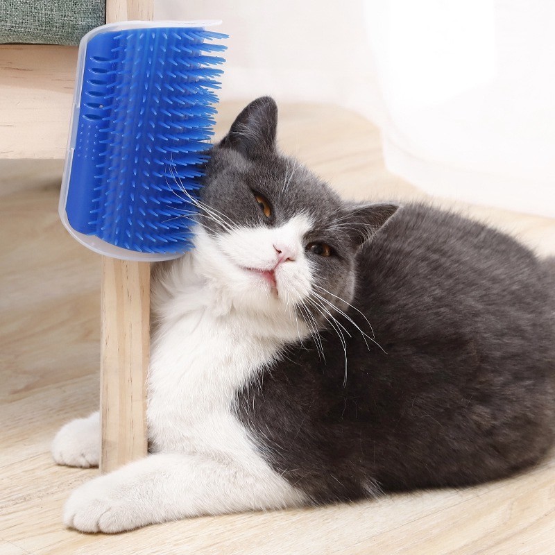 Riny แปรงขนแมว ติดเสา แปรงนวดขนแมว แปรงหวีขนแมว พร้อมช่องใส่ catnip ที่ช่วยให้แมวผ่อนคลาย #P027