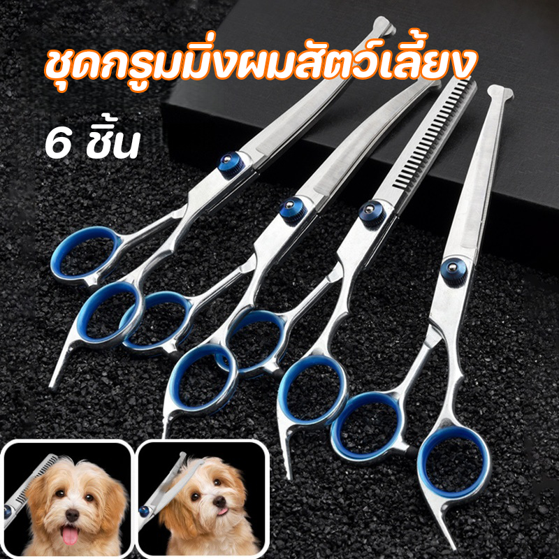 COD ชุดกรูมมิ่งผมสัตว์เลี้ยง กรรไกรตัดขนสัตว์เลี้ยงสุนัขแมว 6pcs พร้อมหวีสแตนเลสและกระเป๋าสําหรับเก็บ
