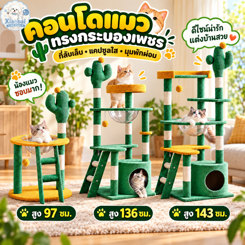คอนโดแมวทรงกระบองเพชร ที่ลับเล็บแมวพร้อมแคปซูลใส บ้านแมว บันได ของเล่นแมว 97/136/143 ซม