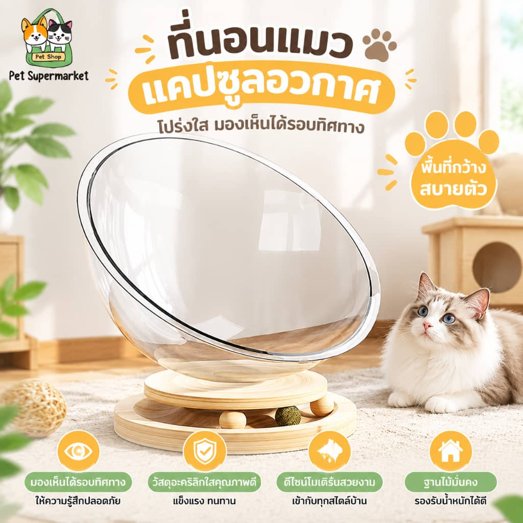 รังแมวแคปซูลอวกาศ 2in1 หลุมอวกาศแมว หลุมอวกาศ แคปซูลอวกาศสบาย ของเล่นแมว คอนโดแมวอวกาศ จานเสียงไม้เนื้อแข็งอะคริลิค