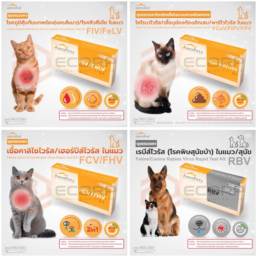 ลด 50% Exp 08/26 Aurapets ชุดตรวจหาโรคติดเชื้อในทางเดินอาหารในแมว
