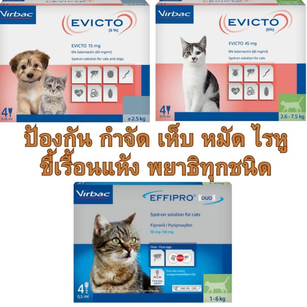 Virbac Effipro Duo & Evicto Spot On ผลิตภัณฑ์กําจัด เห็บ หมัด ไรหู ชนิดหยอดหลัง สําหรับแมว