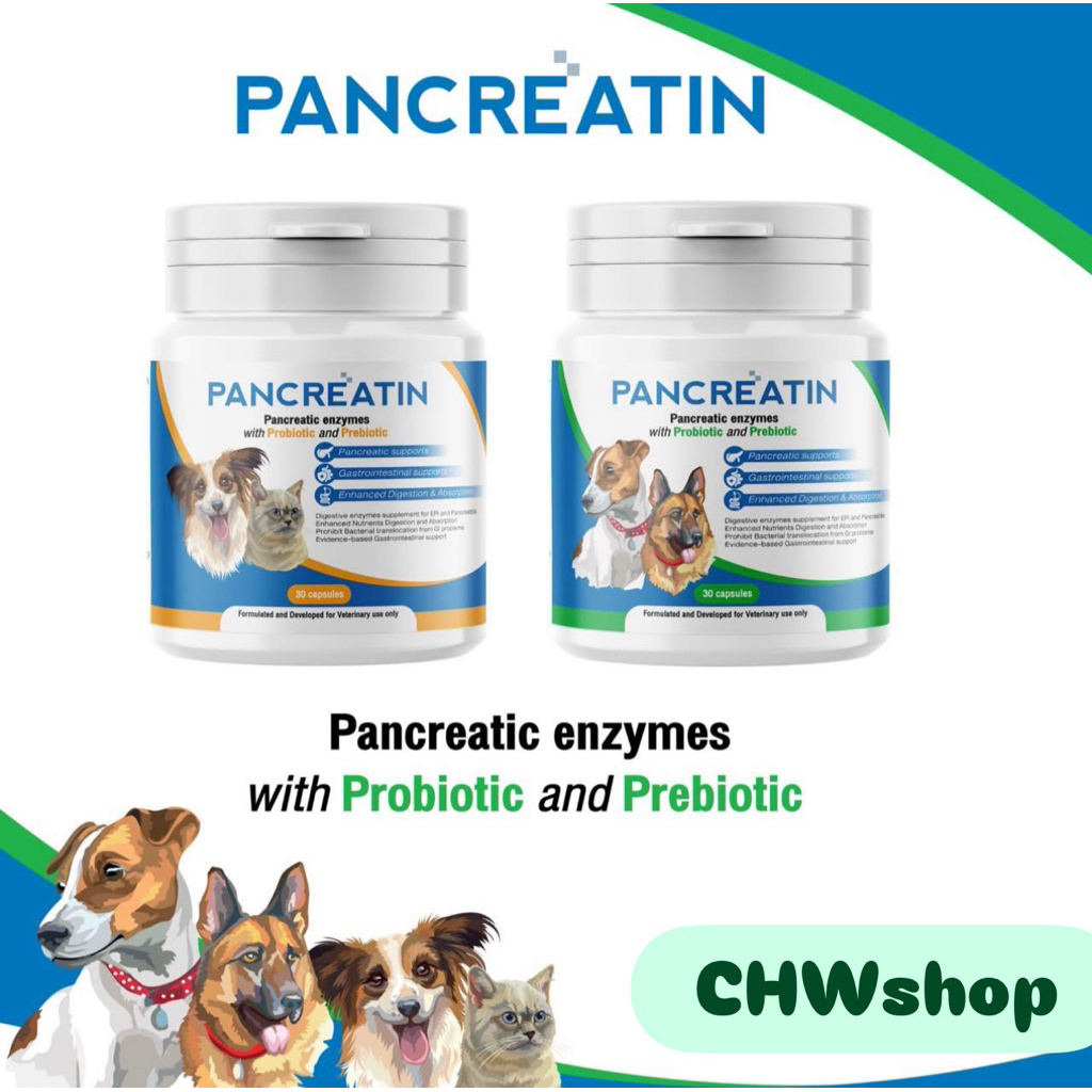 PANCREATIN เอ็นไซม์เสริมอาหารสําหรับสุนัขและแมวที่มีภาวะตับอ่อน Pancreas