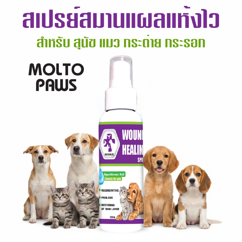 Aexhuq เห็นผลไวมาก ฉีด พ่น แผลแห้งไว สมานไว เลียได้ เหมาะกับสุนัข แมว กระต่าย กระรอก นก