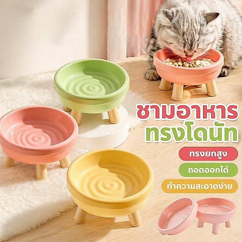 ชามอาหารสัตว์เลี้ยง ชามอาหารแมว ชามยกสูง ถอดล้างได้ 2 หลุม กันลื่น สําหรับแมวและสุนัข