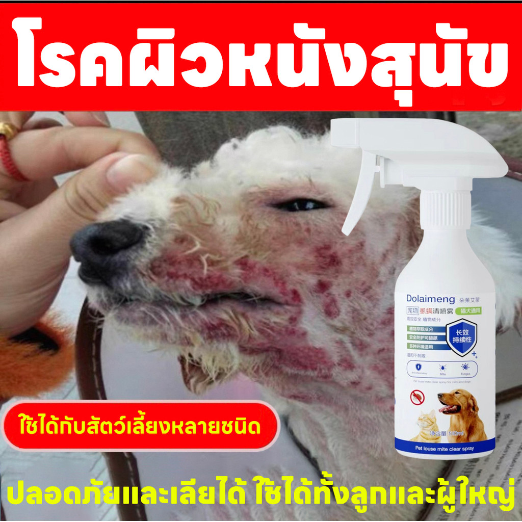 รักษาโรคผิวหนังสําหรับแมวและสุนัขโดยเฉพาะ🐱Hb ขี้เรื้อน สเปรย์ขี้เรื้อนสัตว์เลี้ยง แก้คันสุนัข เรื้อน 510ml สูตรจากพืช ปลอดภัยและไม่มีสารพิษ