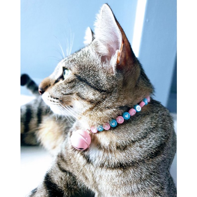 สร้อยคอน้องหมา น้องแมวและกระต่าย รุ่น❤ Lovely