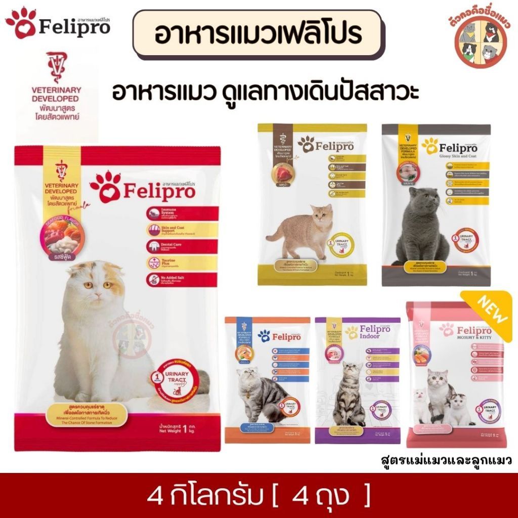 4Kg] Felipro เฟลิโปร อาหารแมว กันนิ่ว [ถุงแบ่ง] จากบริษัท ครบสูตร