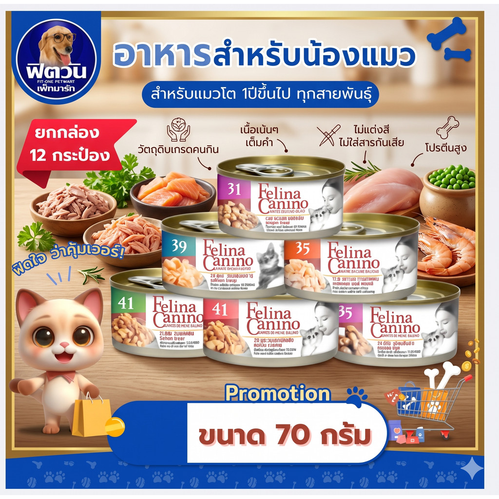 Felina Canio อาหารเปียกแมวกระป๋อง น้ําเกรวี่ ขนาด70 กรัม (จํานวน12กระป๋อง)