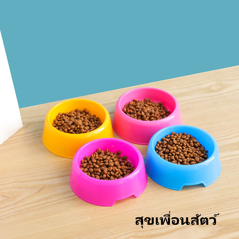 ชามอาหารสัตว์เลี้ยงสองช่อง 🍭 สีพาสเทลสุดน่ารัก สําหรับแมวและสุนัข ชามพลาสติกใส่อาหารและน้ํา ใช้งานสะดวก ทําความสะอาดง่าย