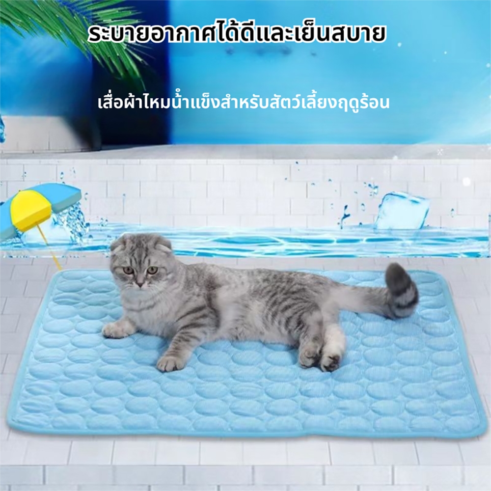 แผ่นรองนอนแมวสุนัขฤดูร้อน ผ้าไหมเย็น - โซฟา เบาะนอน เย็นสบาย น้ําหนักเบา ขนาด 55*70cm