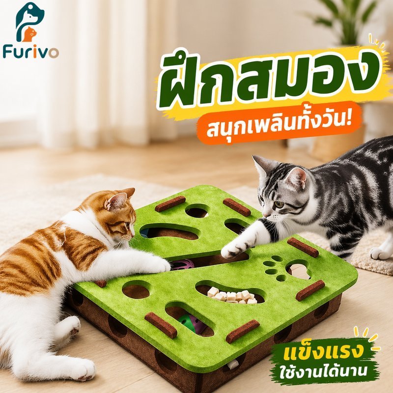 ของเล่นแมวรู้สึกเขาวงกตปริศนาซ่อนรอยขีดข่วนเล่นบอลทนทานนุ่มโต้ตอบสัตว์เลี้ยงรังกล่อง
