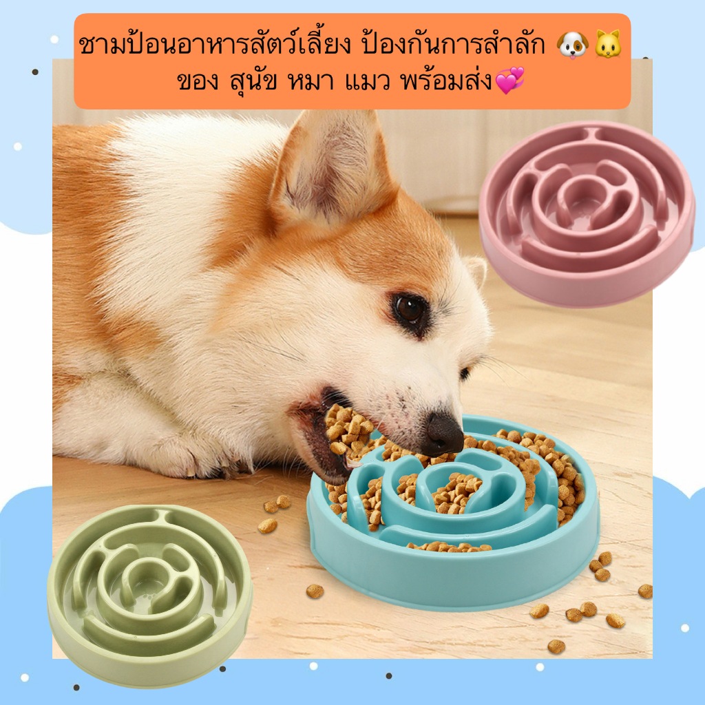 AL-426 ชามสัตว์เลี้ยง พลาสติก ใส่อาหาร ป้องกันการสําลักของ สุนัข หมา แมว