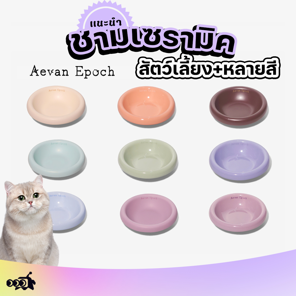 ชามสัตว์เลี้ยงเซรามิก หลายสีAevan Epoch|🐱เกรดอาหาร+ปลอดภัย+ทําความสะอาดง่าย🌈 (สําหรับแมวและสุนัข)
